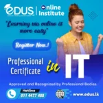 Professional Certificate in IT