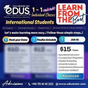 Individual Classes for International Advanced Students