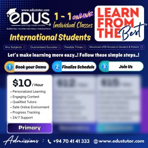 Individual Classes for International Primary Students