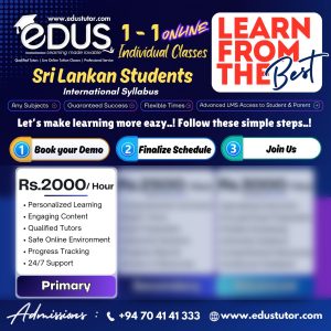 Individual Classes for SriLankan International Syllabus Primary Students