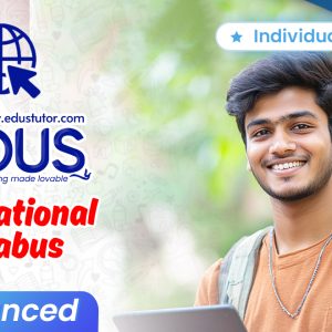 Individual Classes for International Advanced Students