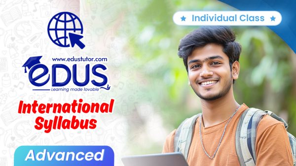 Individual Classes for International Advanced Students