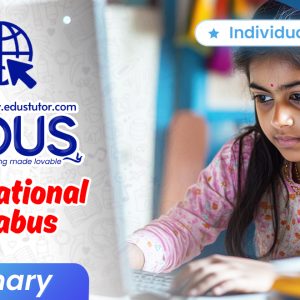 Individual Classes for International Primary Students