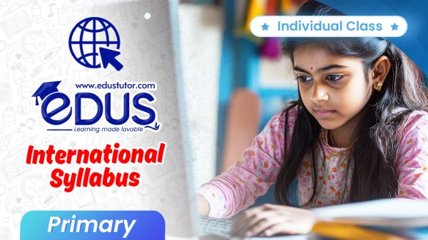 Individual Classes for International Primary Students