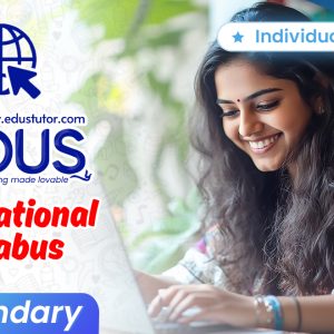 Individual Classes for International Secondary Students