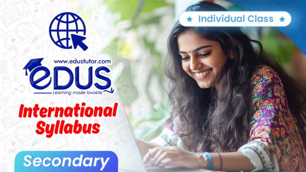 Individual Classes for International Secondary Students