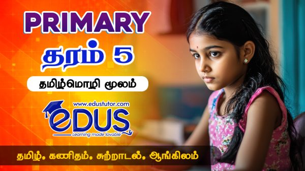 Grade 5 Tamil Medium Classes