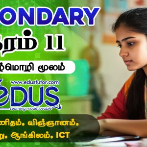 Grade 11 Tamil Medium classes