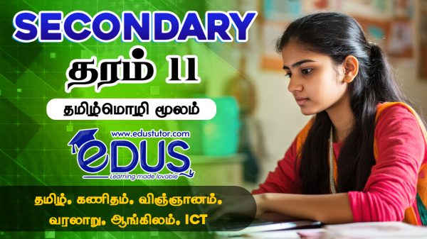 Grade 11 Tamil Medium classes